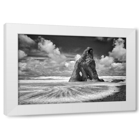 Preservation White Modern Wood Framed Art Print by Frates, Dennis