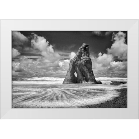 Preservation White Modern Wood Framed Art Print by Frates, Dennis