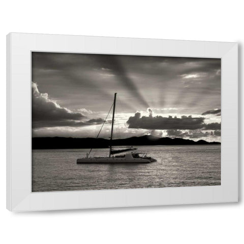 Silence III White Modern Wood Framed Art Print by Frates, Dennis