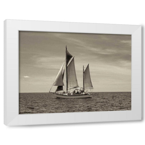 Stature White Modern Wood Framed Art Print by Frates, Dennis
