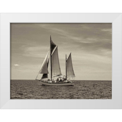 Stature White Modern Wood Framed Art Print by Frates, Dennis