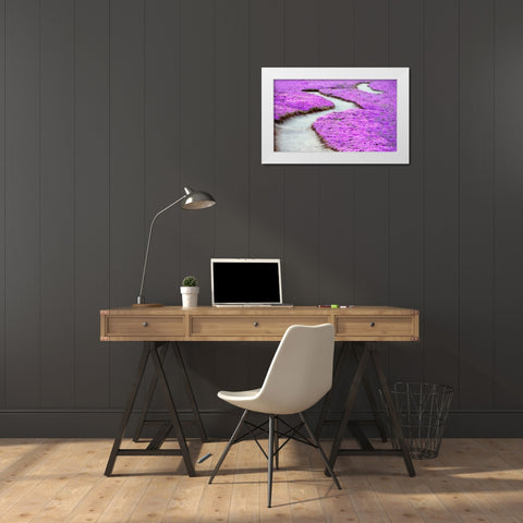 Violet Path White Modern Wood Framed Art Print by Frates, Dennis
