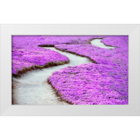 Violet Path White Modern Wood Framed Art Print by Frates, Dennis