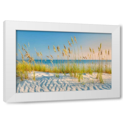 Sea Oats White Modern Wood Framed Art Print by Frates, Dennis