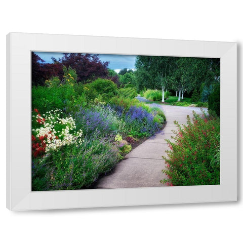 Garden Pathway White Modern Wood Framed Art Print by Frates, Dennis