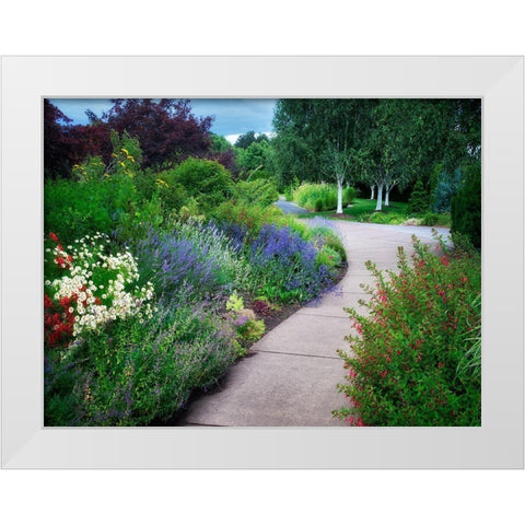 Garden Pathway White Modern Wood Framed Art Print by Frates, Dennis
