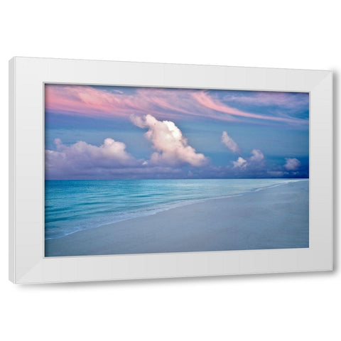 Skyfall II White Modern Wood Framed Art Print by Frates, Dennis