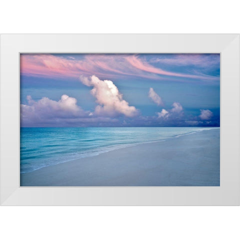Skyfall II White Modern Wood Framed Art Print by Frates, Dennis