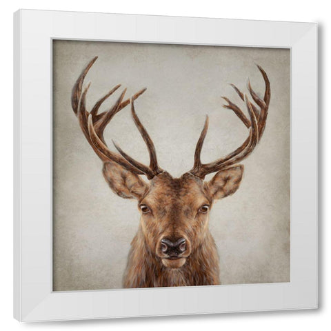 Stag Presence White Modern Wood Framed Art Print by Perejogina, Dina