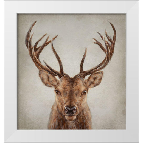 Stag Presence White Modern Wood Framed Art Print by Perejogina, Dina