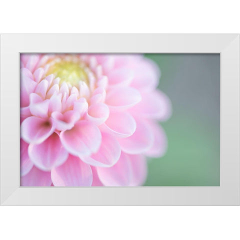Pink Cups White Modern Wood Framed Art Print by Kirshner, Dmitry