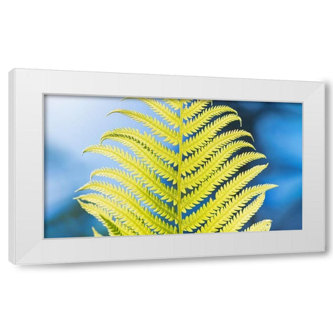 Poise White Modern Wood Framed Art Print by Kirshner, Dmitry