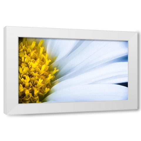 Soft Reach White Modern Wood Framed Art Print by Kirshner, Dmitry