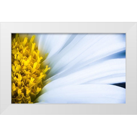 Soft Reach White Modern Wood Framed Art Print by Kirshner, Dmitry