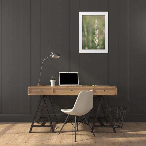 Basking in Summar Sun White Modern Wood Framed Art Print by Kirshner, Dmitry