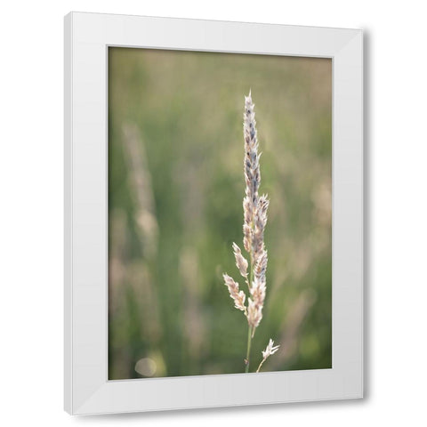 Basking in Summar Sun White Modern Wood Framed Art Print by Kirshner, Dmitry