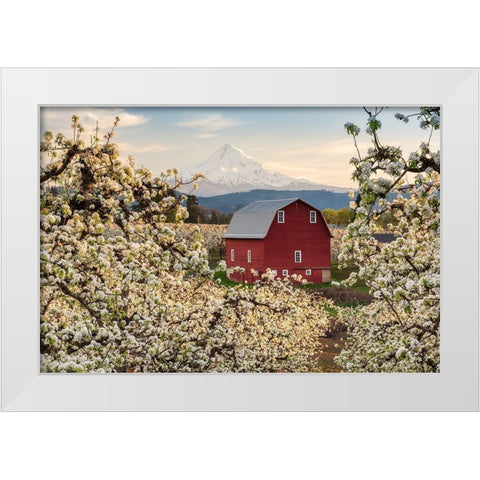 Fairytale Barn White Modern Wood Framed Art Print by Daultich, Nick
