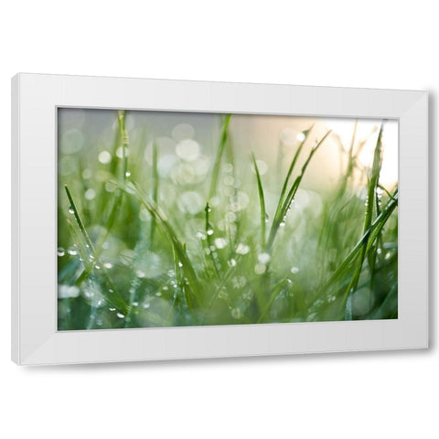 After The Rain  White Modern Wood Framed Art Print by Daultich, Nick
