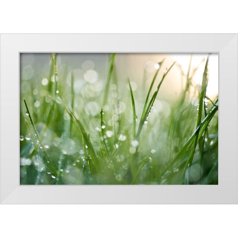 After The Rain  White Modern Wood Framed Art Print by Daultich, Nick
