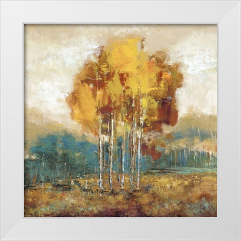 Weathered Scape I White Modern Wood Framed Art Print by Dolce, Carmen