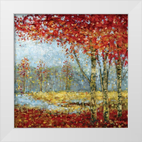 Into the Light I White Modern Wood Framed Art Print by Dolce, Carmen