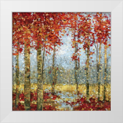 Into the Light II White Modern Wood Framed Art Print by Dolce, Carmen