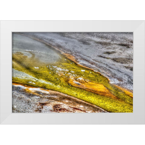 Bacteria I White Modern Wood Framed Art Print by Dulius, Peter