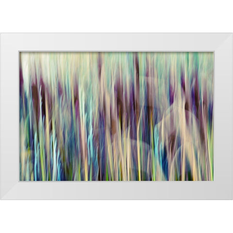 Colors of Canada I White Modern Wood Framed Art Print by SD Enterprises