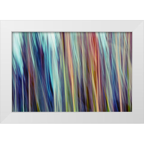 Colors of Canada III White Modern Wood Framed Art Print by SD Enterprises