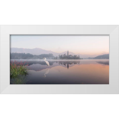 Egret Lake White Modern Wood Framed Art Print by Desmarais, Richard