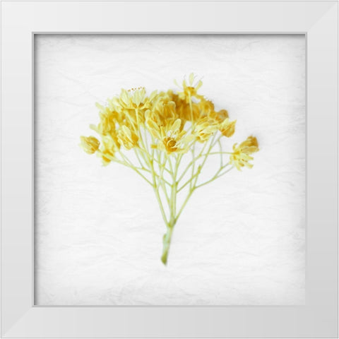 Meditative Yellow White Modern Wood Framed Art Print by Savone, Daniela