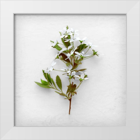 Greener Fragment White Modern Wood Framed Art Print by Savogne, Daniela
