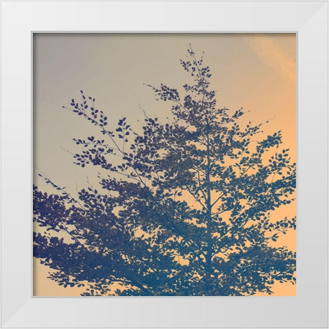 Tree Haze White Modern Wood Framed Art Print by Savone, Daniela