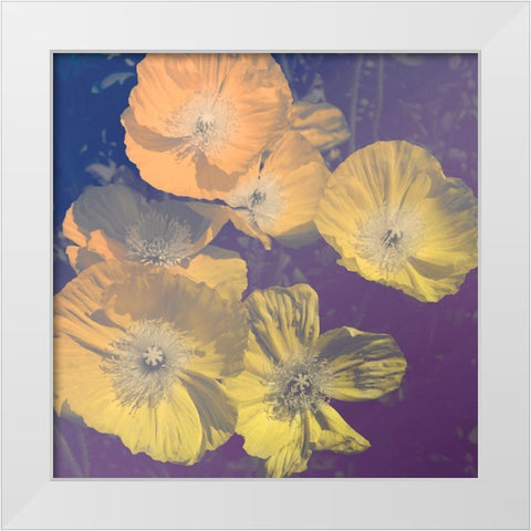Flower Haze I White Modern Wood Framed Art Print by Savone, Daniela