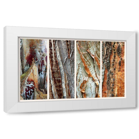 Palm Bark I White Modern Wood Framed Art Print by Jenney, Jessica