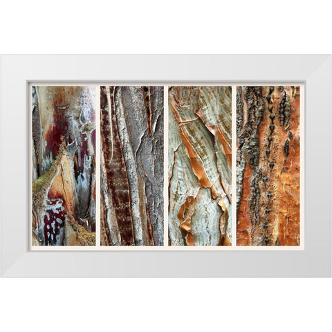 Palm Bark I White Modern Wood Framed Art Print by Jenney, Jessica