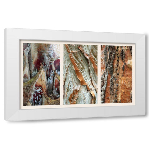 Palm Bark II White Modern Wood Framed Art Print by Jenney, Jessica