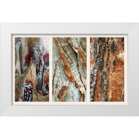 Palm Bark II White Modern Wood Framed Art Print by Jenney, Jessica