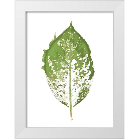 Beginning In Blue VII - Green Version  White Modern Wood Framed Art Print by Evans, Amy