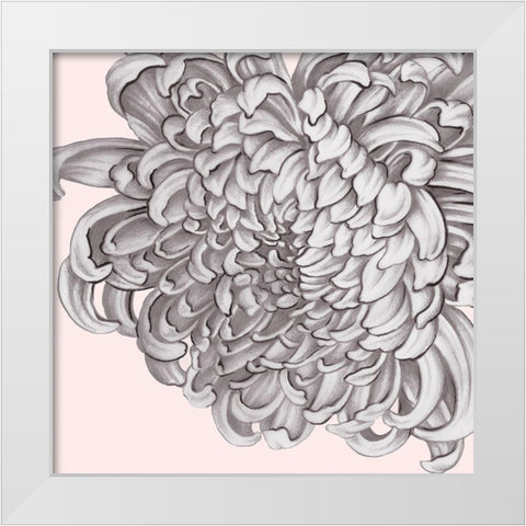 Blush Peony I White Modern Wood Framed Art Print by Watts, Eva