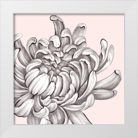 Blush Peony II White Modern Wood Framed Art Print by Watts, Eva