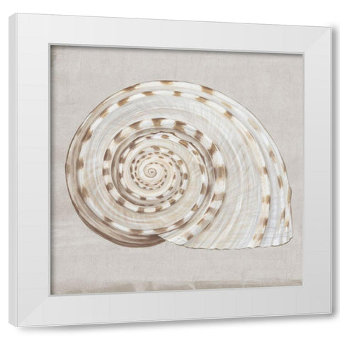 Neutral Shells I White Modern Wood Framed Art Print by Watts, Eva