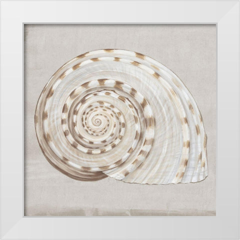 Neutral Shells I White Modern Wood Framed Art Print by Watts, Eva