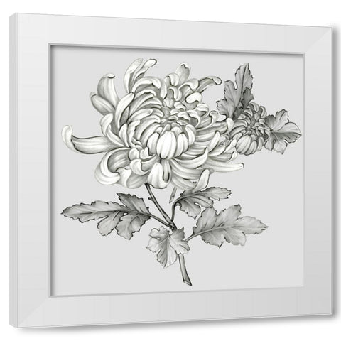 Grey Botanical II White Modern Wood Framed Art Print by Watts, Eva