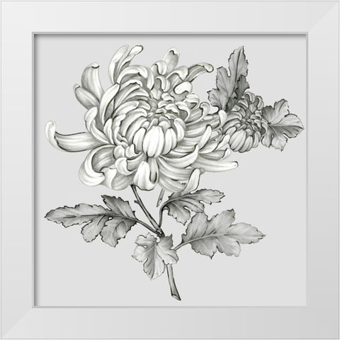 Grey Botanical II White Modern Wood Framed Art Print by Watts, Eva