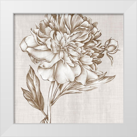 Glorious Peony I  White Modern Wood Framed Art Print by Watts, Eva