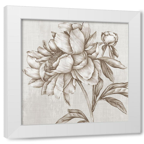 Glorious Peony II  White Modern Wood Framed Art Print by Watts, Eva