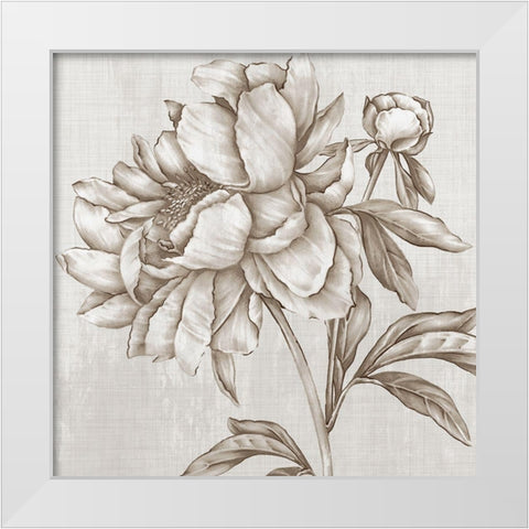 Glorious Peony II  White Modern Wood Framed Art Print by Watts, Eva