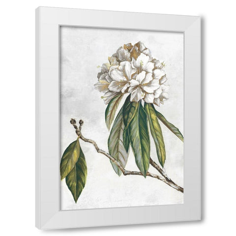 Pearly Beauty II White Modern Wood Framed Art Print by Watts, Eva