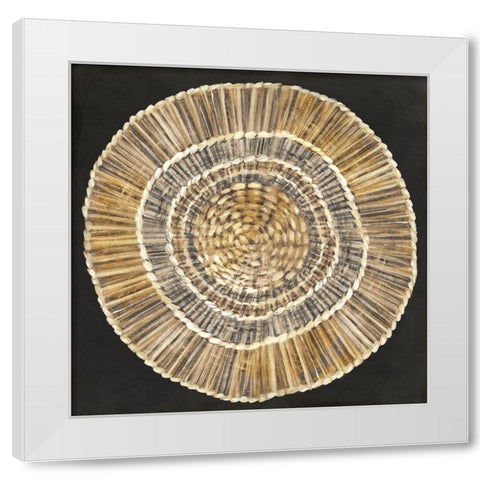 Straw Woven Plate  White Modern Wood Framed Art Print by Watts, Eva